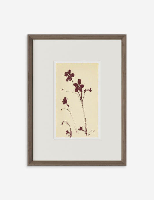 Meadow Rue No. 9 Wall Art by Shaina Page
