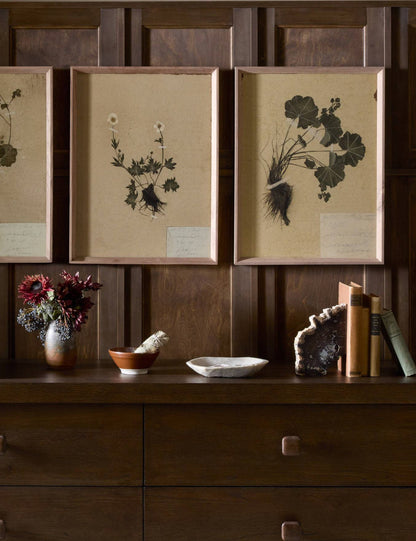 Petite Study Triptych Wall Art (Set of 3) by Hannah Winters