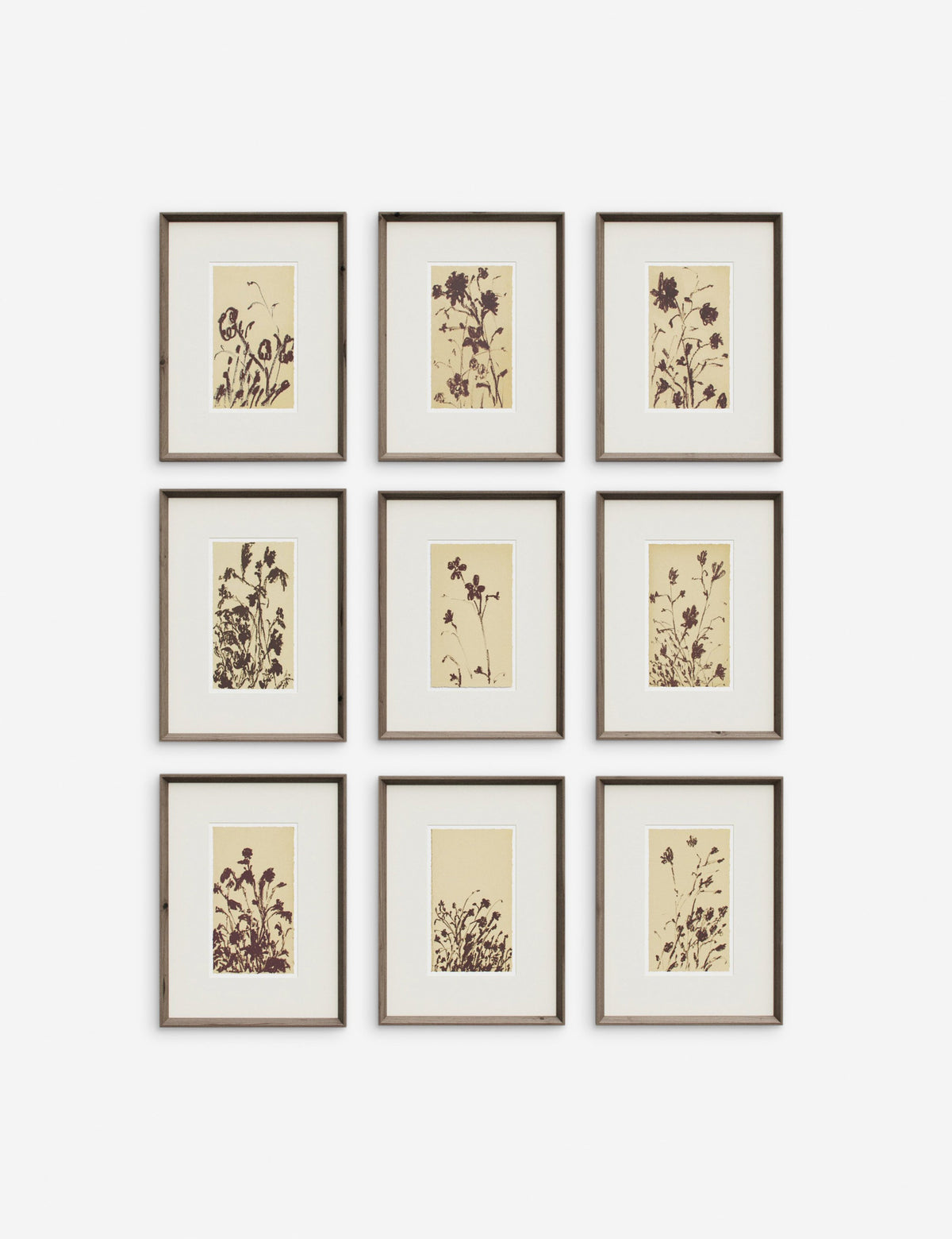 Wild Blooms Wall Art (Set of 9) by Shaina Page