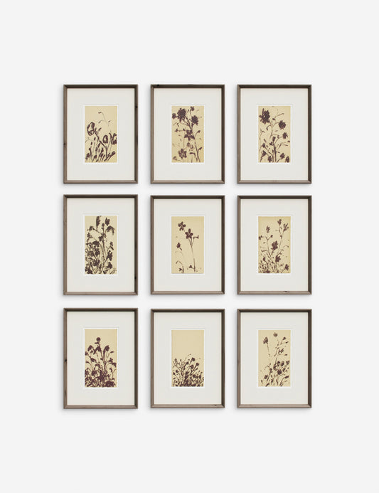 Wild Blooms Wall Art (Set of 9) by Shaina Page