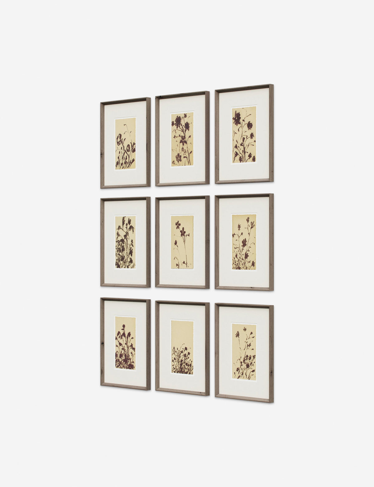 Wild Blooms Wall Art (Set of 9) by Shaina Page