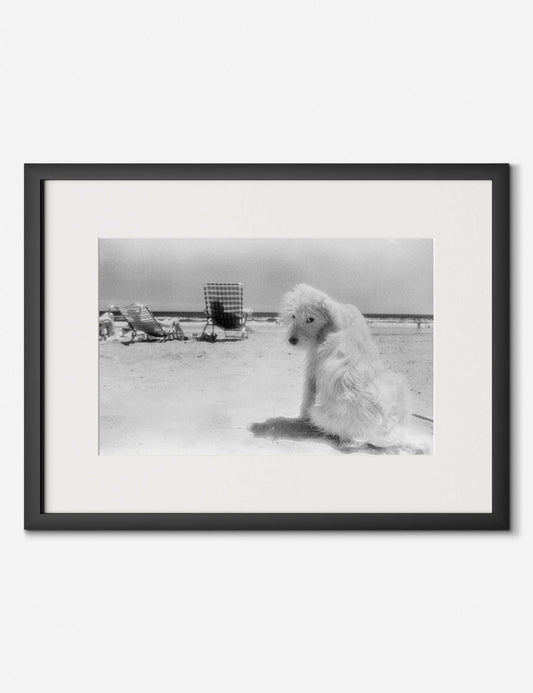 Lois At The Beach Photography Print by Barbara Alper