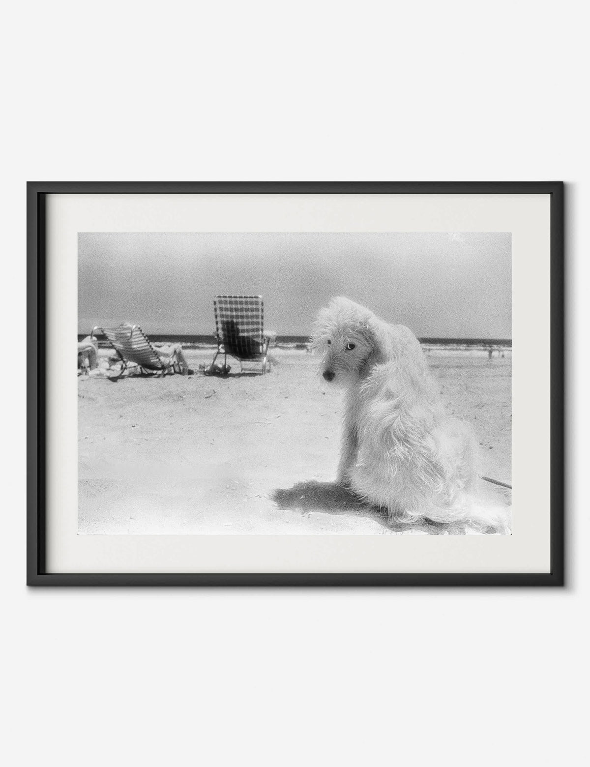 Lois At The Beach Photography Print by Barbara Alper