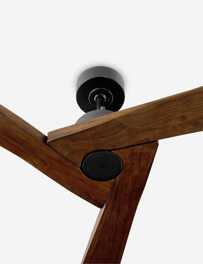 Vesa Ceiling Fan