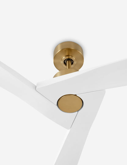 Vesa Ceiling Fan