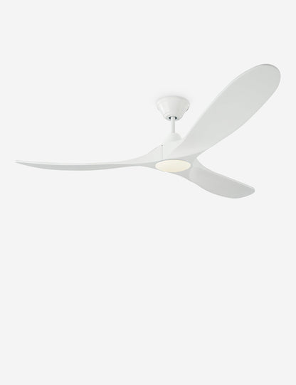 Delos Ceiling Fan