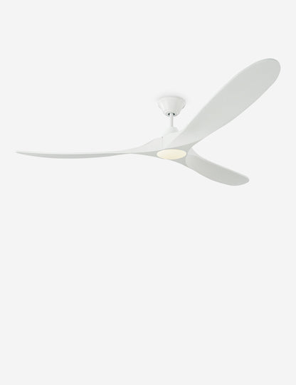 Delos Ceiling Fan