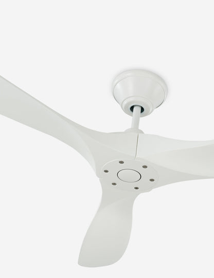 Delos Ceiling Fan