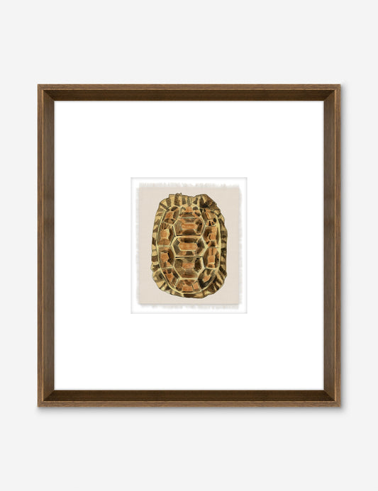 Lost and Found IV Wall Art by Allison Cosmos