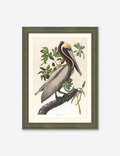 Wings of the Wild I Wall Art by Alex Zane