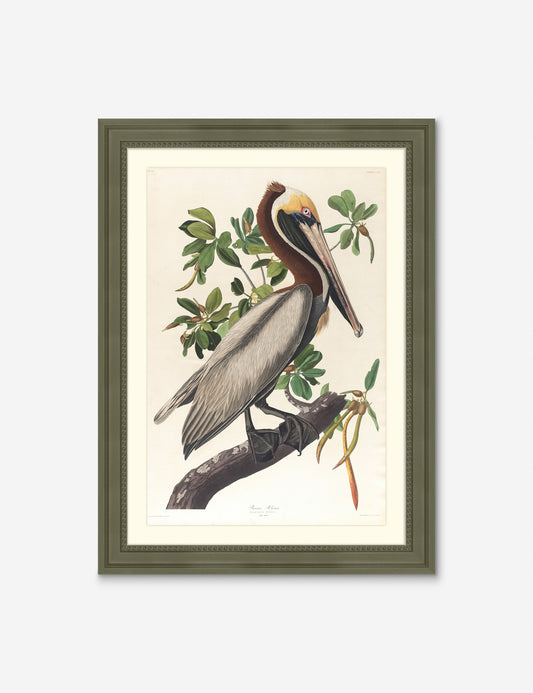 Wings of the Wild I Wall Art by Alex Zane