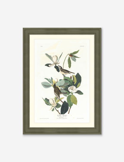Wings of the Wild II Wall Art by Alex Zane