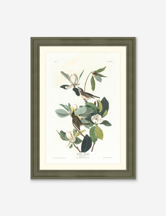 Wings of the Wild II Wall Art by Alex Zane