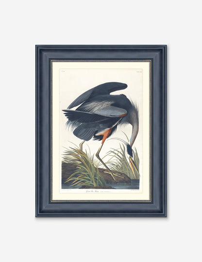 Wings of the Wild III Wall Art by Alex Zane