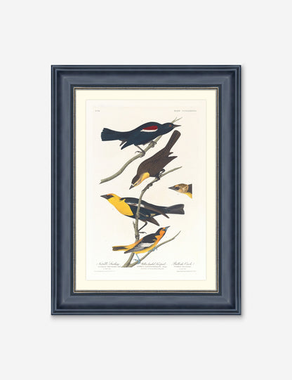 Wings of the Wild IV Wall Art by Alex Zane