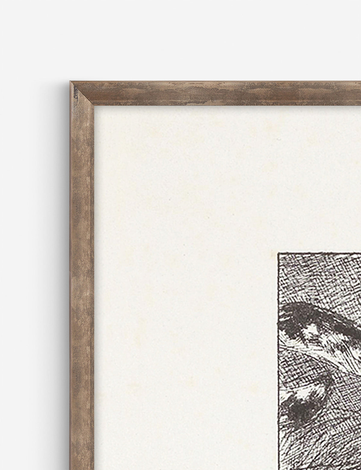 Luipaard Wall Art by Alex Zane