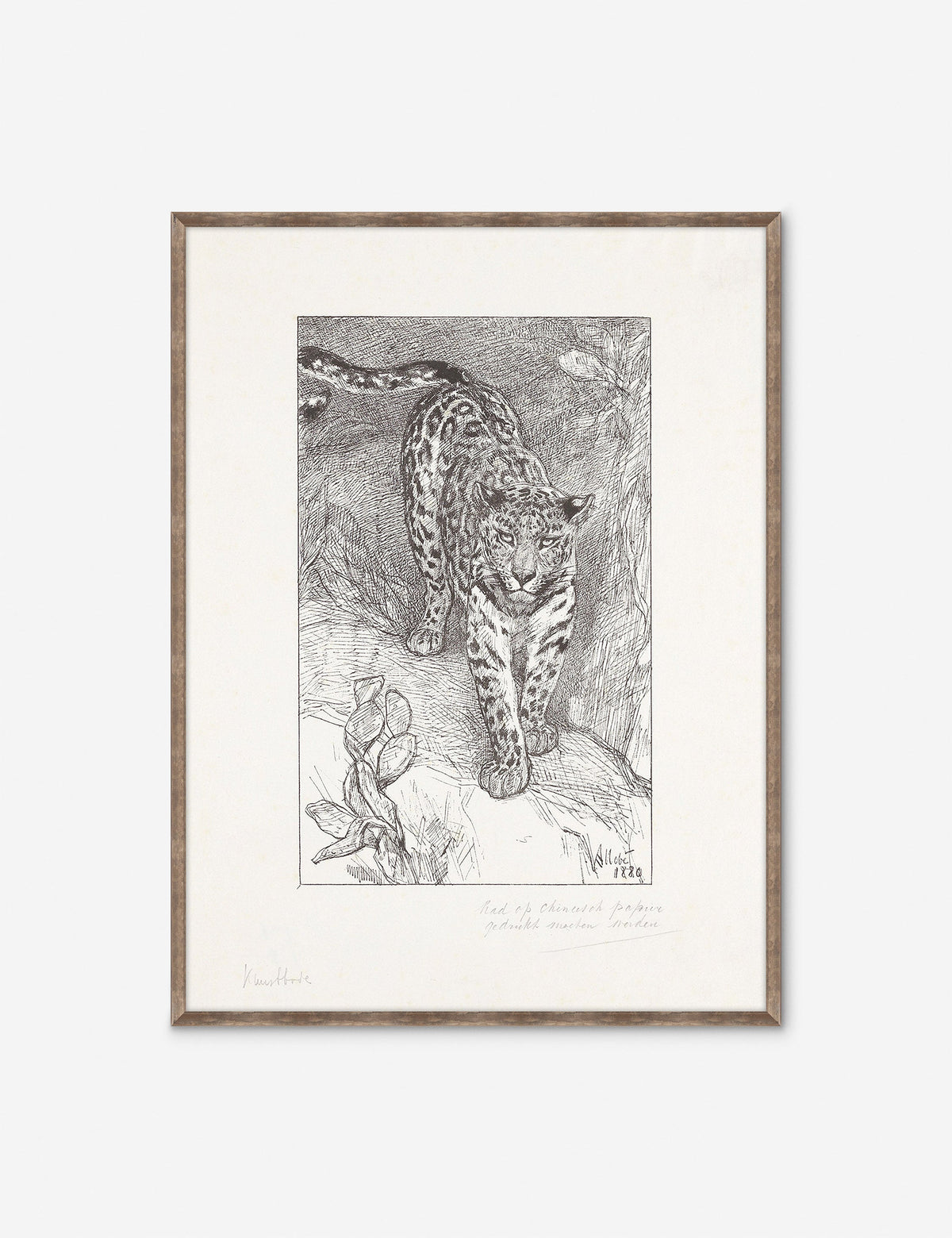 Luipaard Wall Art by Alex Zane