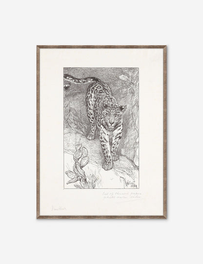 Luipaard Wall Art by Alex Zane