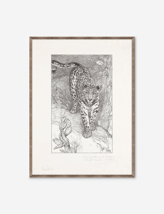 Luipaard Wall Art by Alex Zane