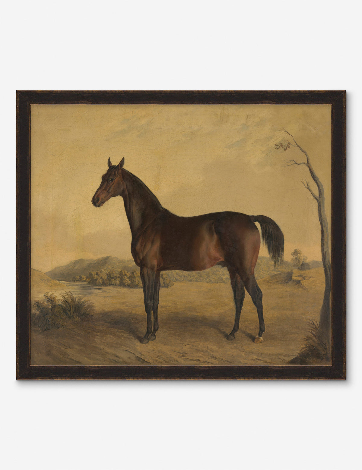 Horse II Wall Art by Heidi Caillier