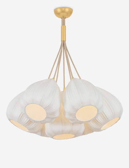 Magallanes Chandelier