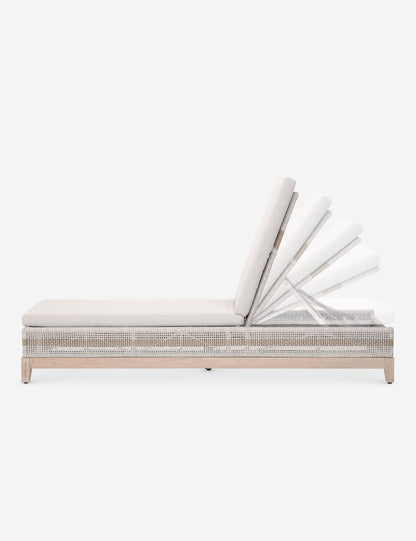 Kinnda Indoor / Outdoor Chaise Lounge