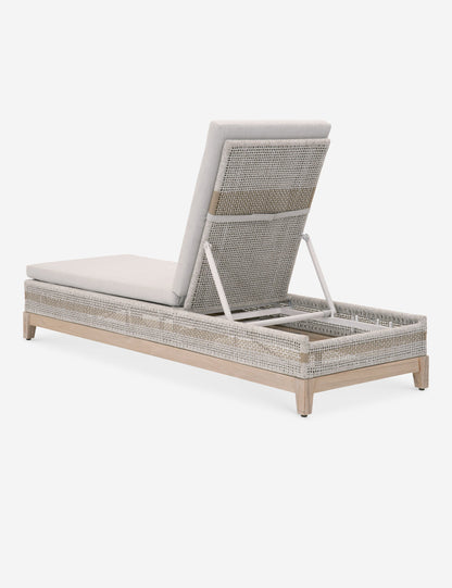 Kinnda Indoor / Outdoor Chaise Lounge