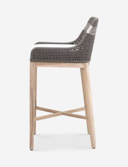 Kinnda Indoor / Outdoor Bar and Counter Stool