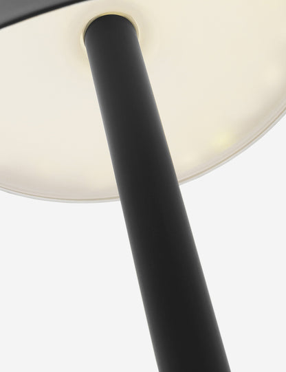 Carla Outdoor Floor Lamp