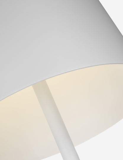 Carla Outdoor Floor Lamp