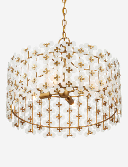 Patia Pendant Light