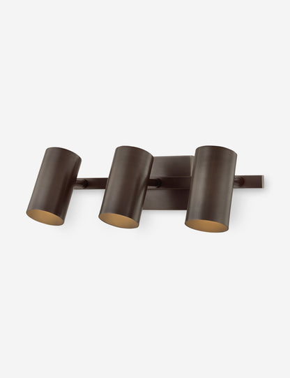 Newcomb Adjustable Vanity Light