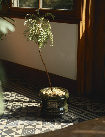 Mesa Planter Pot by Kelly Wearstler x Serax