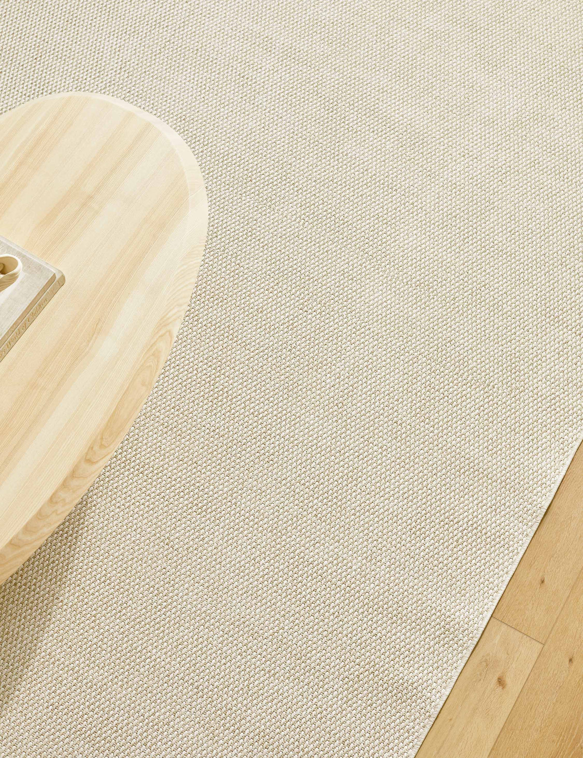 Birdie Indoor / Outdoor Rug by Becki Owens x Surya