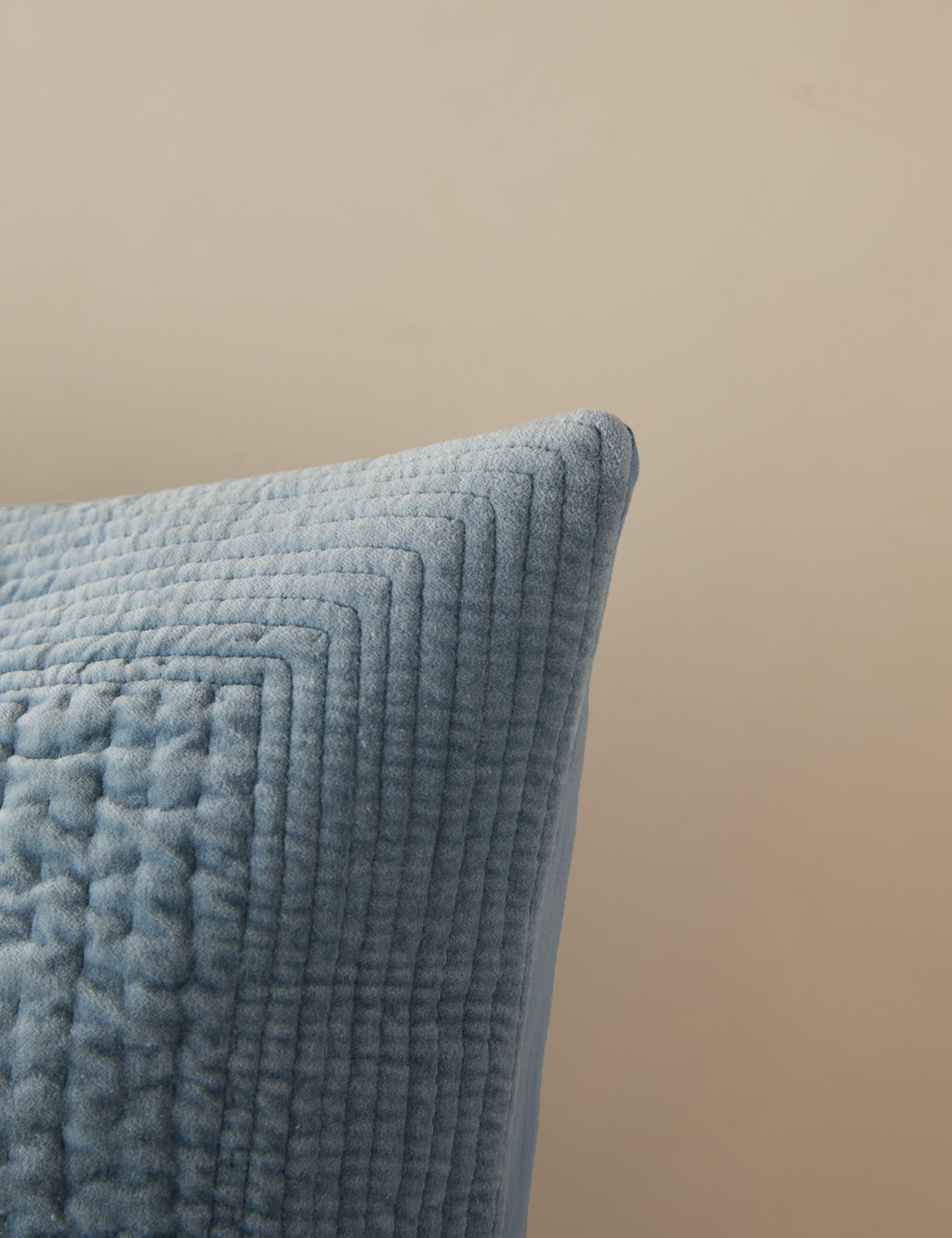 Bloomfield Velvet Sham