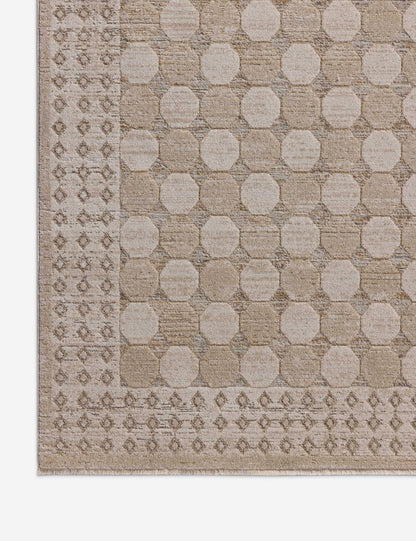 Cali I Rug by Amber Lewis x Loloi