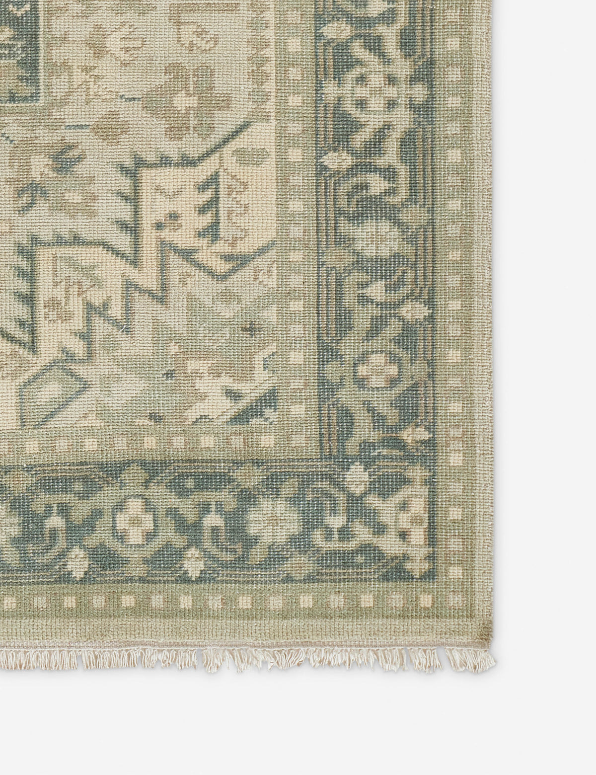 Isandro Hand-Knotted Wool Rug