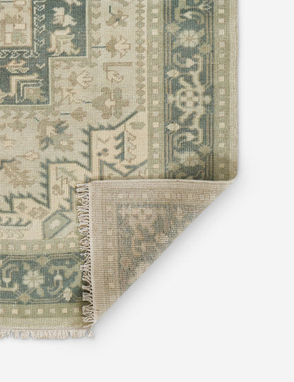 Isandro Hand-Knotted Wool Rug