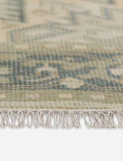 Isandro Hand-Knotted Wool Rug