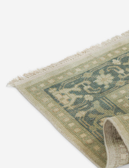 Isandro Hand-Knotted Wool Rug