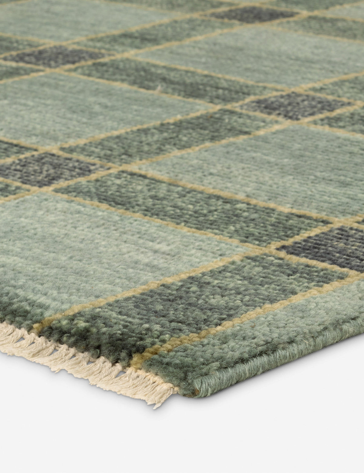 Pavez Hand-Knotted Wool Rug