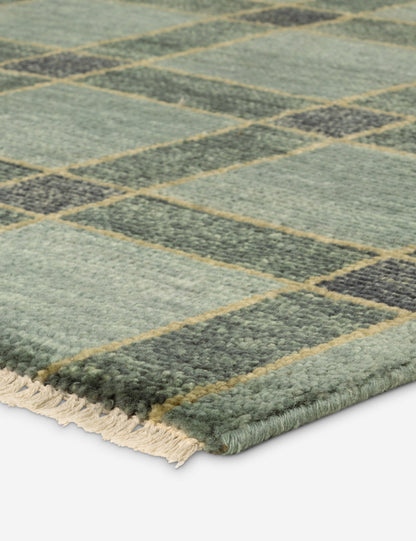 Pavez Hand-Knotted Wool Rug