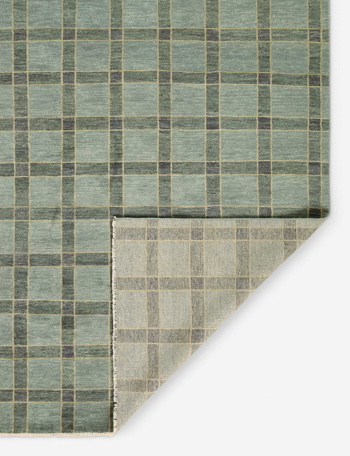Pavez Hand-Knotted Wool Rug