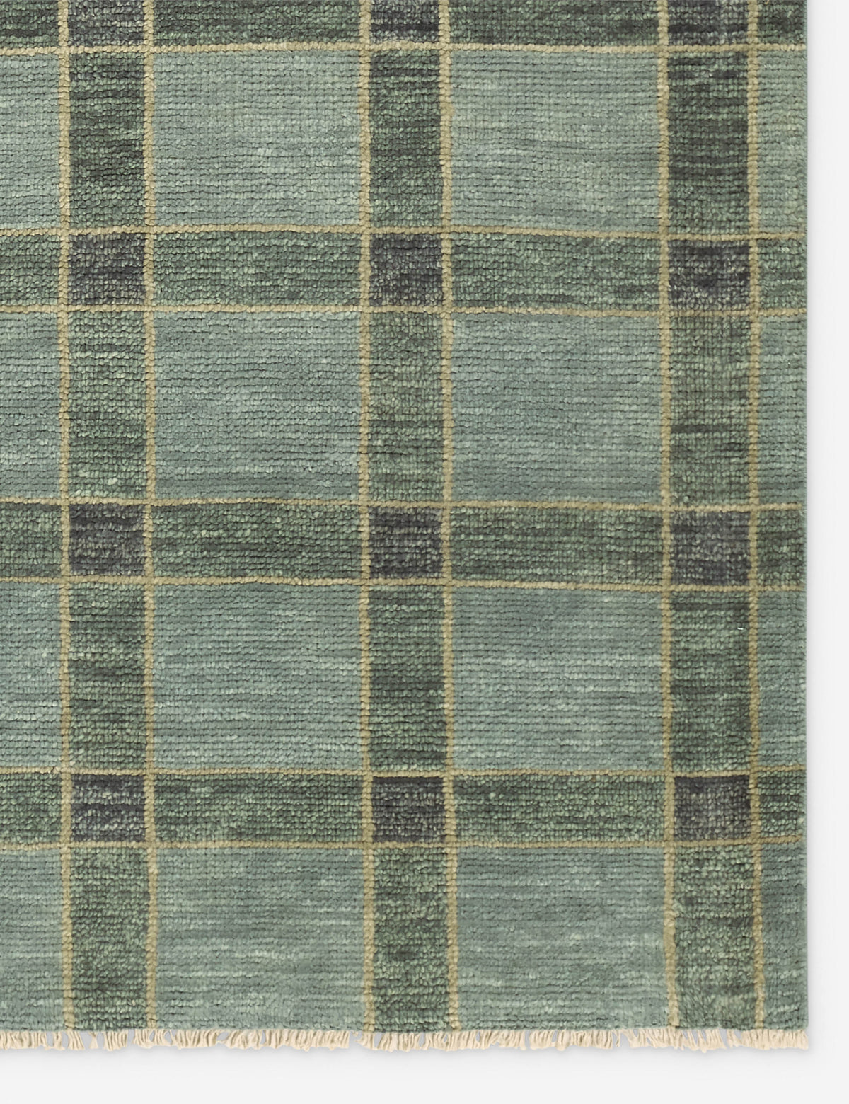 Pavez Hand-Knotted Wool Rug