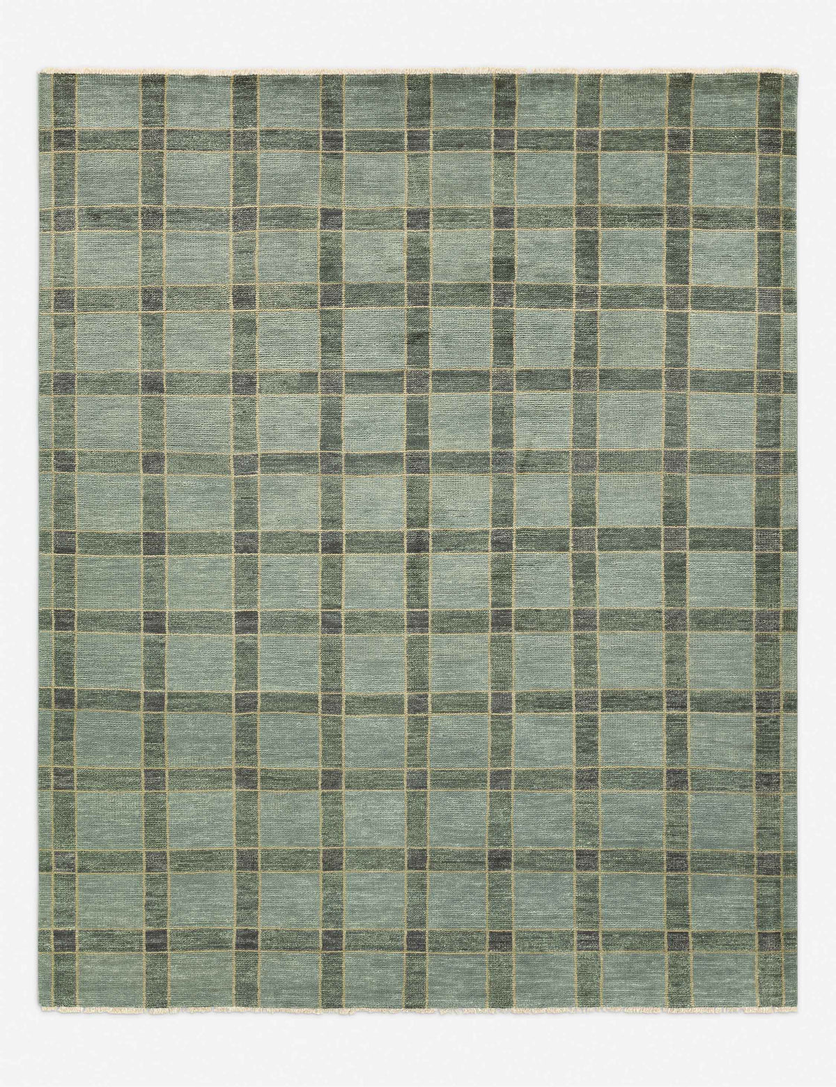 Pavez Hand-Knotted Wool Rug