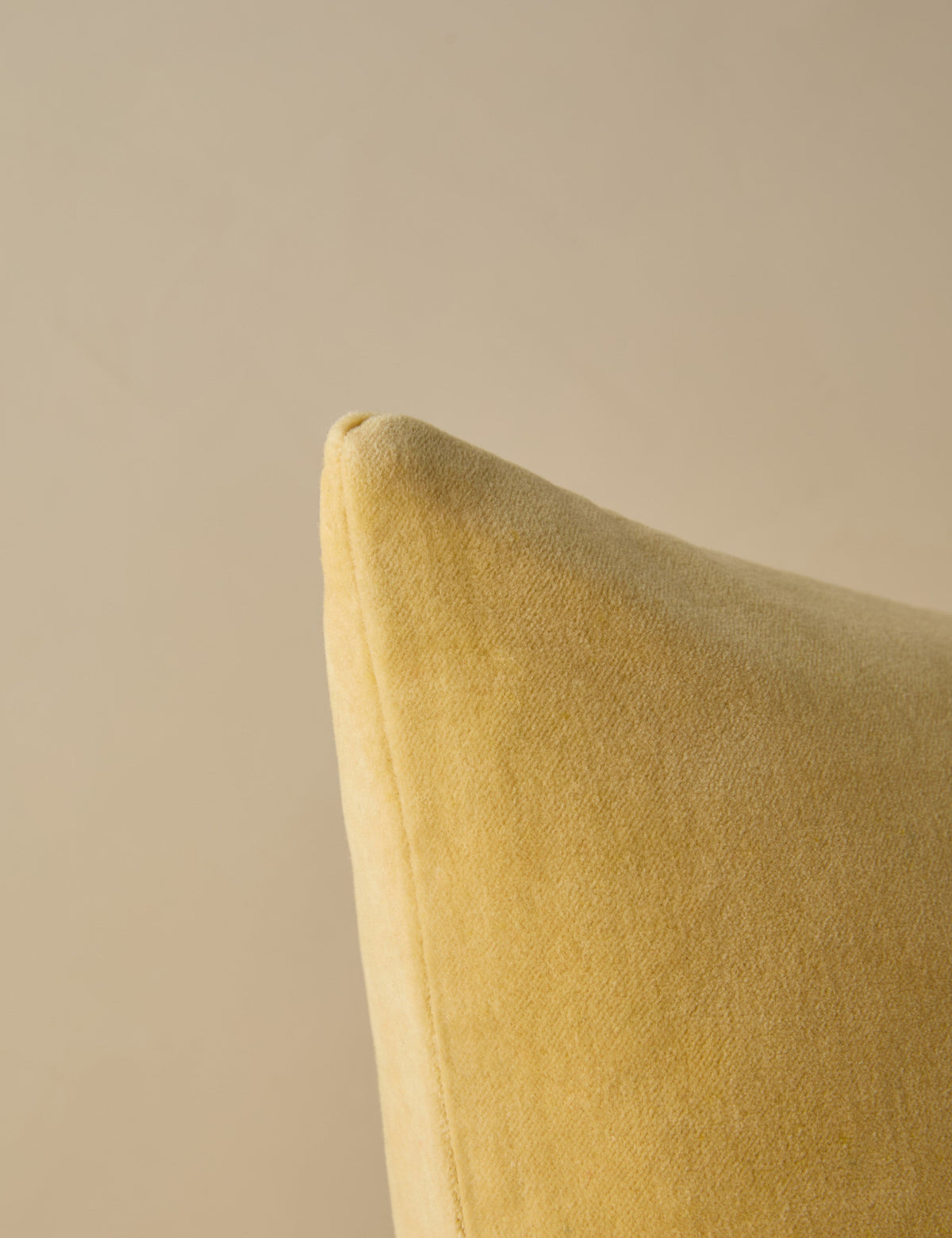 Charlotte Velvet Pillow