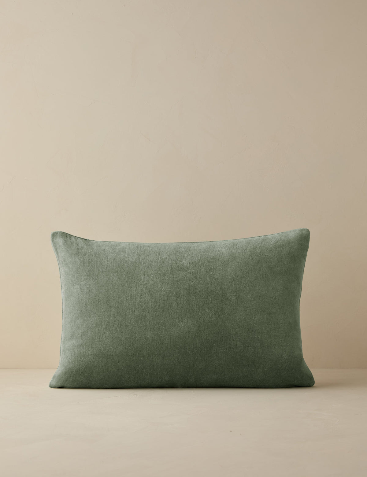 Charlotte Velvet Pillow