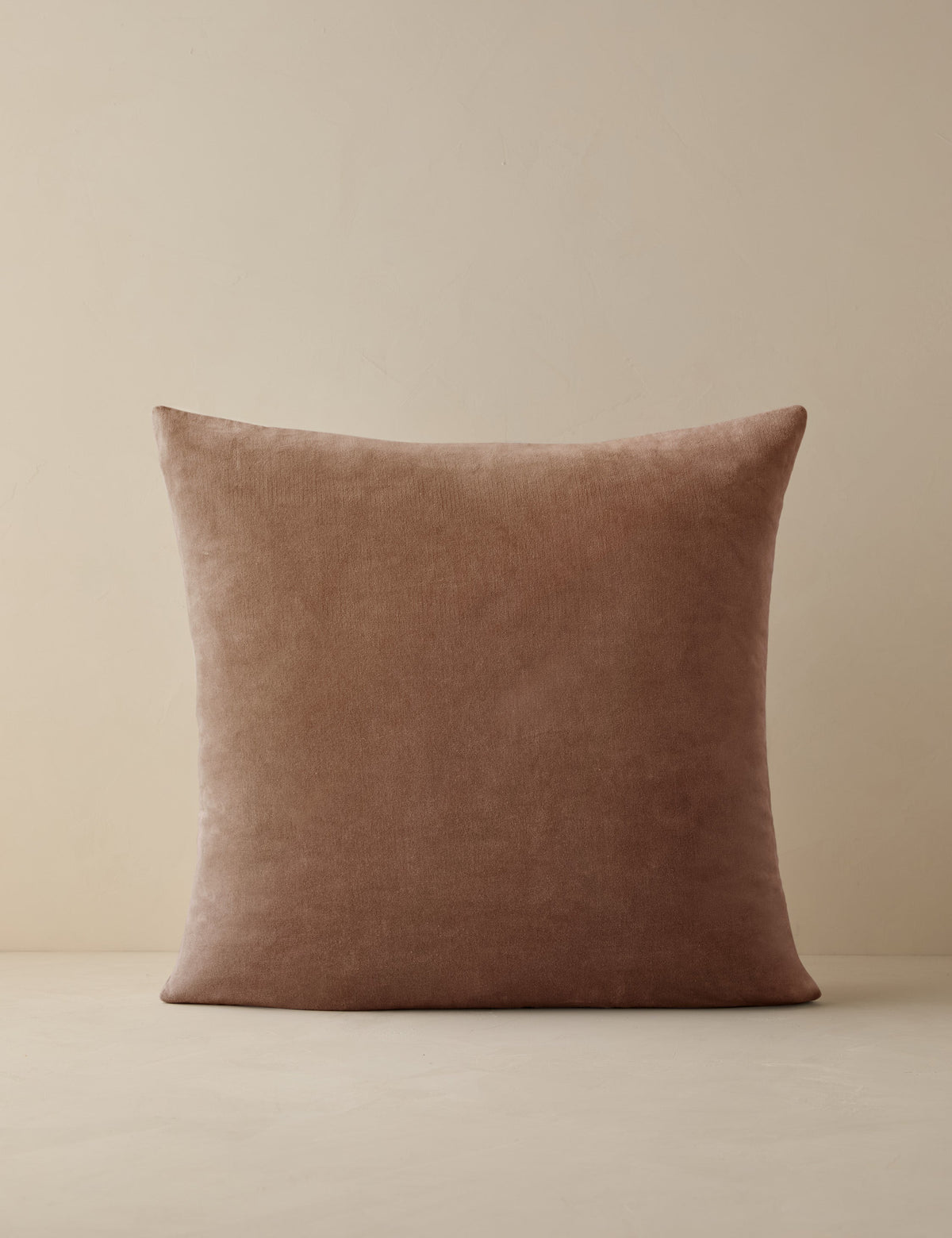 Charlotte Velvet Pillow