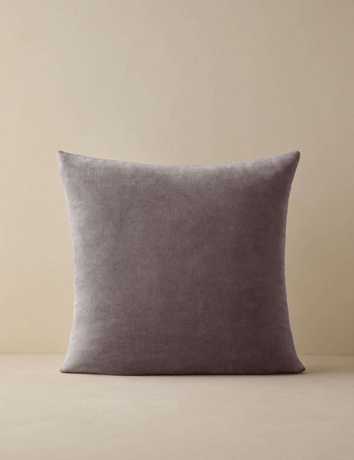 Charlotte Velvet Pillow