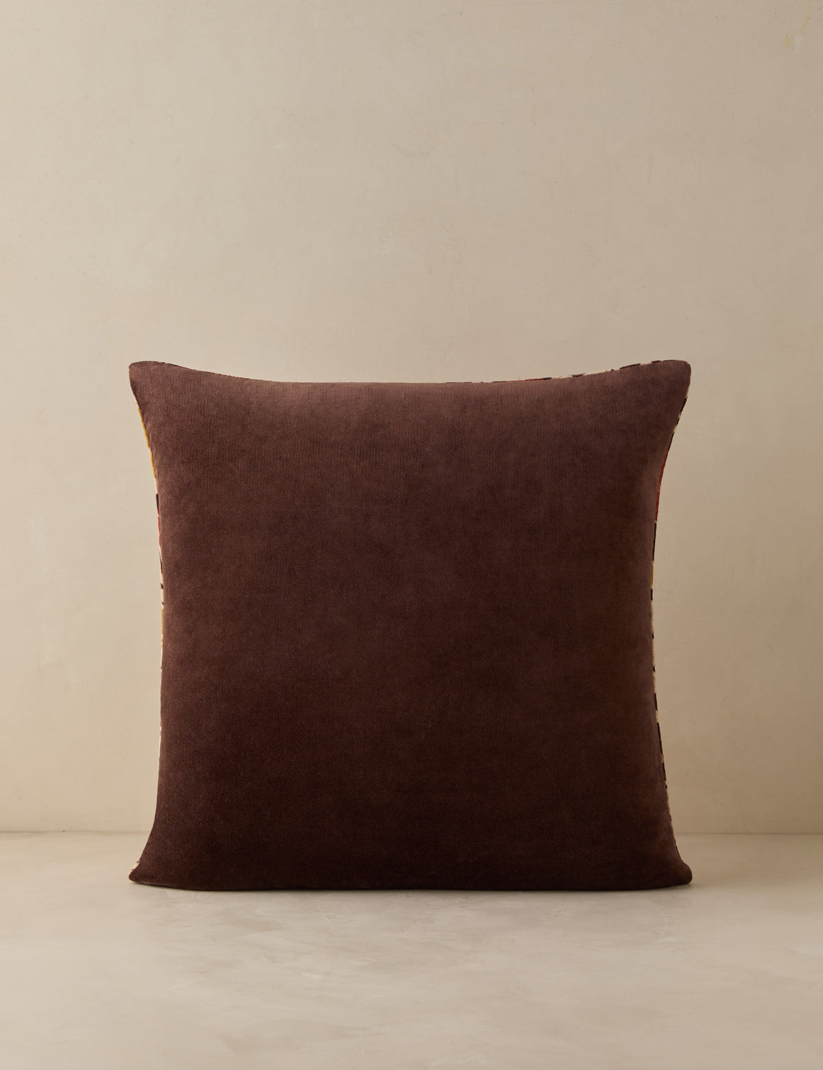 Corabel Velvet Pillow